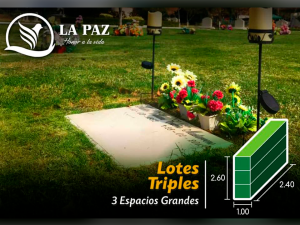 Lotes Triples